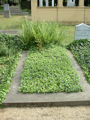 Beispiel f&uuml;r ein bl&uuml;hendes Einzelgrab