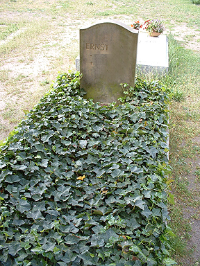 Beispiel f&uuml;r ein pflegeleichtes Einzelgrab