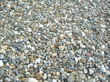 Privatgarten, Wilhelmshaven