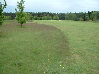 Planung von angepa&szlig;ten Saatgutmischungen f&uuml;r alle Grasbereiche