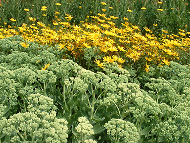 Privatgarten, Wilhelmshaven