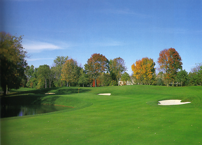 Individuelle Bepflanzung mit Geh&ouml;lzen