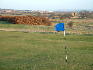 Leistungen zur Genehmigungsplanung, z.B. Erstellung von landschaftspflegerischem&nbsp;Begleitplan LBP