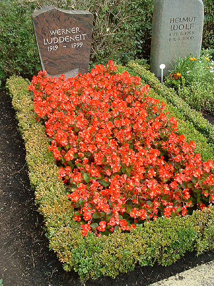 Individuelle Ruhest&auml;tten sind immer direkt im Hinblick auf die verstorbene Pers&ouml;nlichkeit und das begleitende Umfeld abgestimmt, somit einzigartige Entwurfsl&ouml;sungen, die nicht f&uuml;r eine Nachahmung an anderer Stelle dienen k&ouml;nnen. Dennoch m&ouml;chten wir Ihnen hier einige Beispiele vorstellen, wie durch die Auswahl der Pflanzen, die Farbigkeit, die Form und die Einfassung der Grabst&auml;tte gestaltet werden kann.