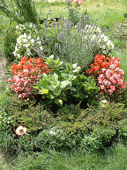 Individuelle Ruhest&auml;tten sind immer direkt im Hinblick auf die verstorbene Pers&ouml;nlichkeit und das begleitende Umfeld abgestimmt, somit einzigartige Entwurfsl&ouml;sungen, die nicht f&uuml;r eine Nachahmung an anderer Stelle dienen k&ouml;nnen. Dennoch m&ouml;chten wir Ihnen hier einige Beispiele vorstellen, wie durch die Auswahl der Pflanzen, die Farbigkeit, die Form und die Einfassung der Grabst&auml;tte gestaltet werden kann.