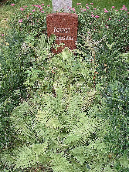 Individuelle Ruhest&auml;tten sind immer direkt im Hinblick auf die verstorbene Pers&ouml;nlichkeit und das begleitende Umfeld abgestimmt, somit einzigartige Entwurfsl&ouml;sungen, die nicht f&uuml;r eine Nachahmung an anderer Stelle dienen k&ouml;nnen. Dennoch m&ouml;chten wir Ihnen hier einige Beispiele vorstellen, wie durch die Auswahl der Pflanzen, die Farbigkeit, die Form und die Einfassung der Grabst&auml;tte gestaltet werden kann.