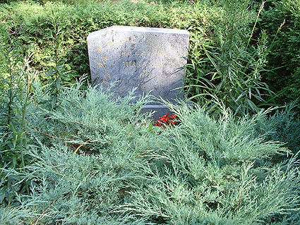 Individuelle Ruhest&auml;tten sind immer direkt im Hinblick auf die verstorbene Pers&ouml;nlichkeit und das begleitende Umfeld abgestimmt, somit einzigartige Entwurfsl&ouml;sungen, die nicht f&uuml;r eine Nachahmung an anderer Stelle dienen k&ouml;nnen. Dennoch m&ouml;chten wir Ihnen hier einige Beispiele vorstellen, wie durch die Auswahl der Pflanzen, die Farbigkeit, die Form und die Einfassung der Grabst&auml;tte gestaltet werden kann.