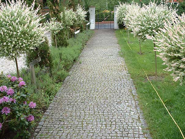 Bestandsaufnahme,&nbsp;Vermessung und Neugestaltung eines Privatgartens, Potsdam