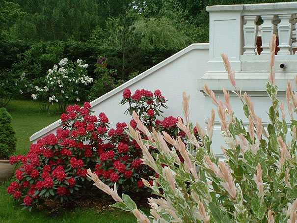 Bestandsaufnahme,&nbsp;Vermessung und Neugestaltung eines Privatgartens, Potsdam