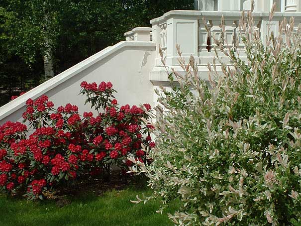 Bestandsaufnahme,&nbsp;Vermessung und Neugestaltung eines Privatgartens, Potsdam