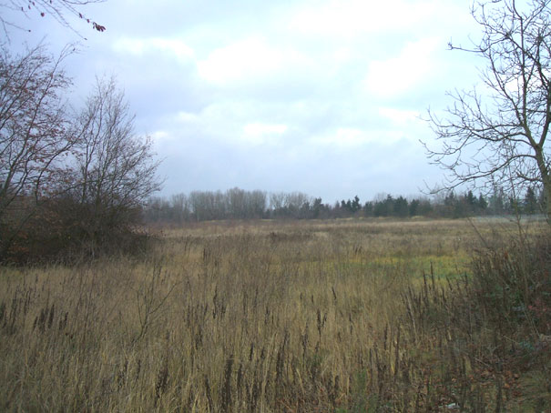 klicken f&uuml;r weitere Schritte in unserer Entwurfsplanung ...