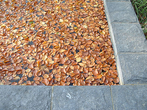 email an GARTENPATINA ....