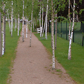 Freiraum- und Objektplanung